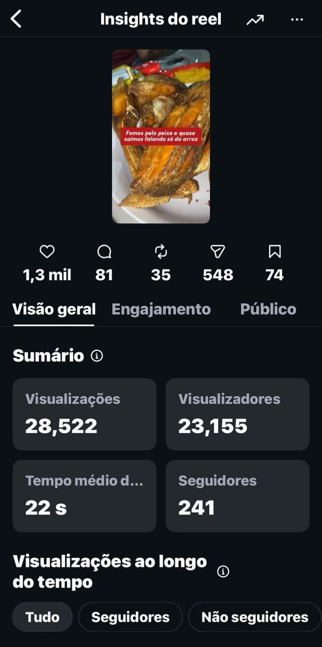 Insights do Reel: 28,5 mil visualizações e 241 novos seguidores